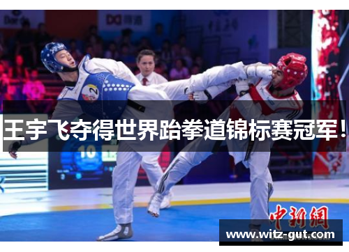 王宇飞夺得世界跆拳道锦标赛冠军!