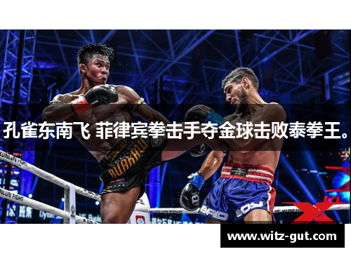 孔雀东南飞 菲律宾拳击手夺金球击败泰拳王。