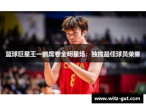篮球巨星王一鹏席卷全明星场：独揽最佳球员荣誉